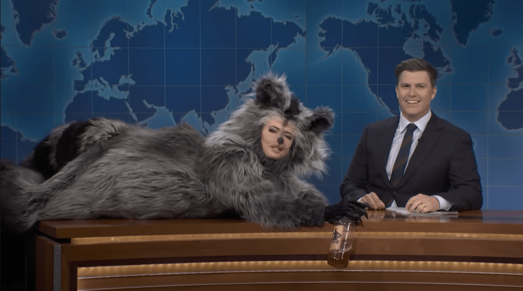 Sherman's raccoon flirts with Colin Jost during Weekend Update, asking if they hooked up.