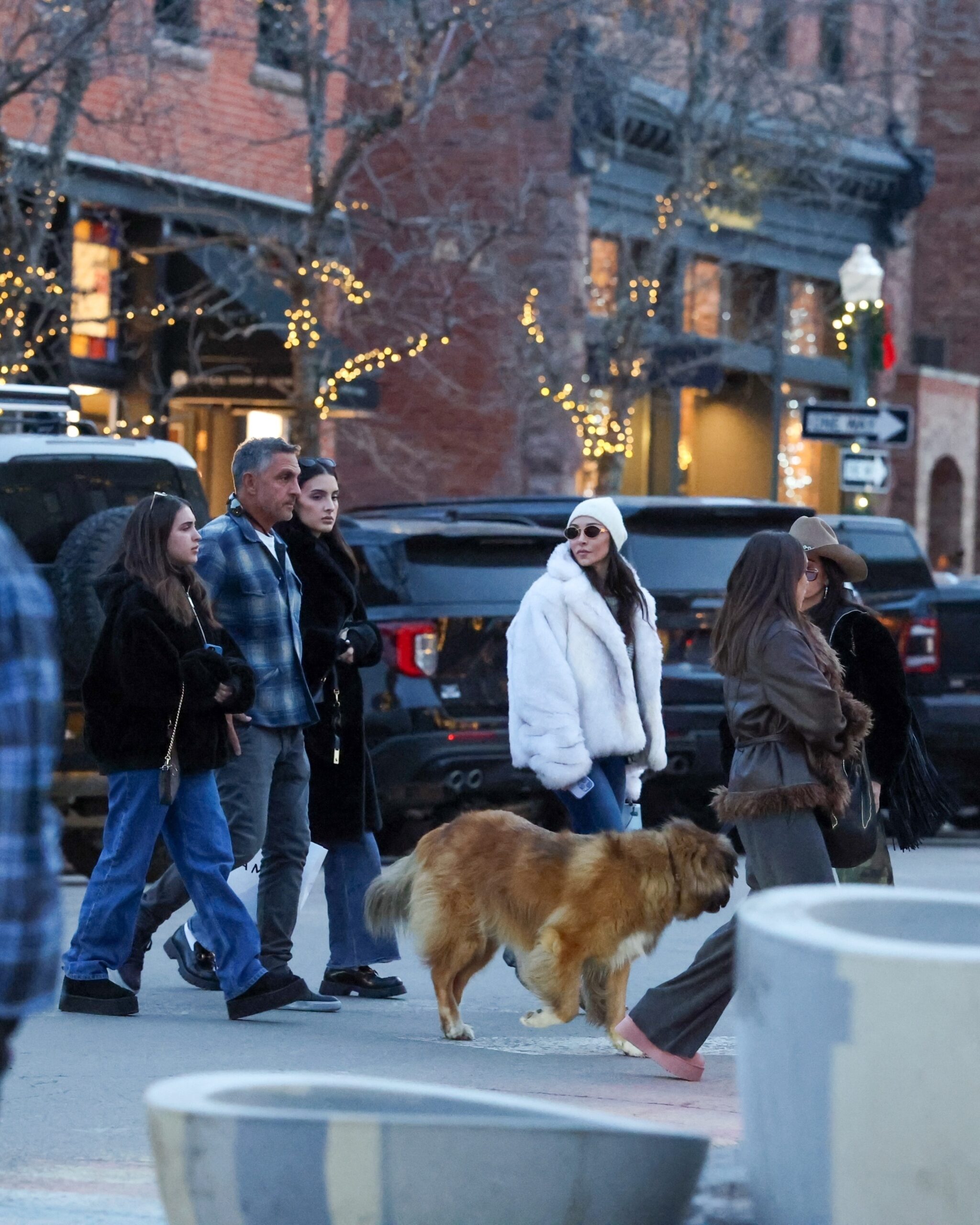 Kyle Richards and Mauricio Umansky walk with their daughters Farrah, Alexia, Sophia and Portia and a dog during a family outing in Aspen.