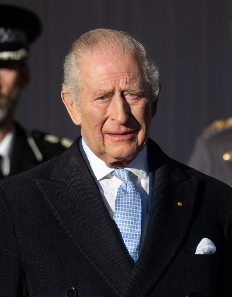 King Charles III in a dark herringbone overcoat and light blue patterned tie.