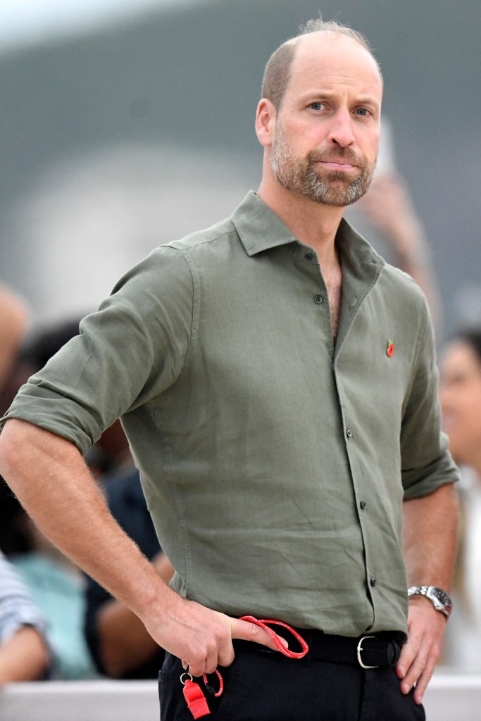 Prince William, Prince of Wales, looking on during a meeting in Rio de Janeiro, Brazil.