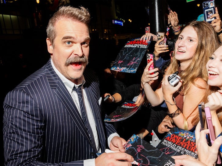 David Harbour at a public event - file photo (Getty Images)