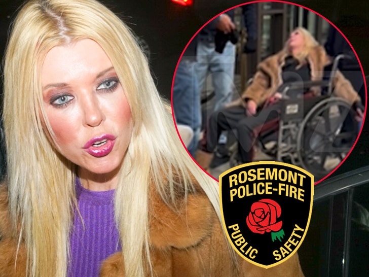 Tara Reid alongside Rosemont, Illinois police imagery (Getty/TMZ)