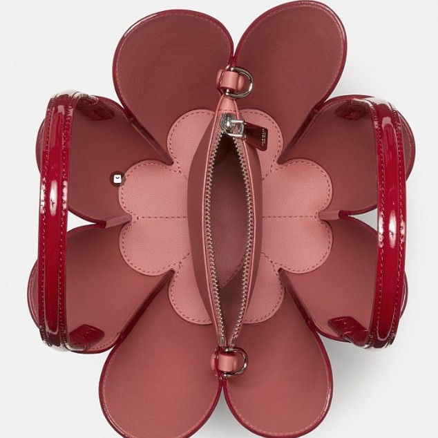 It was the overhead shot of the bag that zips up the middle which caused many viewers to do a double take over the striking resemblance to female genitalia - DailyMailUS